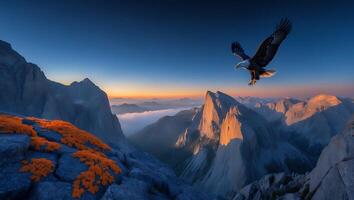 Eagle Flying Over Mountain Peaks at Sunset with Cloud Inversion photo