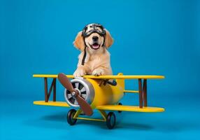 Dog Wearing Aviator Goggles in Toy Airplane Prop photo