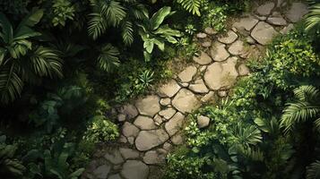 Stone Path Winds Through Lush Tropical Jungle Greenery, Tranquil Nature Walk. photo