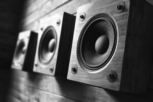 Black and white image of speakers on a wall photo