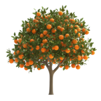 Lush Orange Tree Full of Ripe and Juicy Fruits png