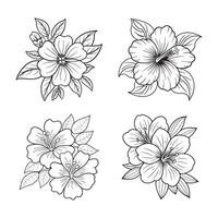 Hand Drawn Flower Bouquet Line Art Set vector