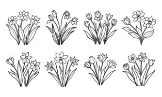 Black and White Floral Outline Illustrations vector