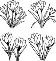 Black and White Floral Outline Illustrations Set vector
