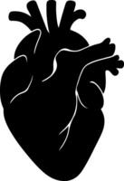 Anatomical heart silhouette with subtle shadowing on a gradient background vector