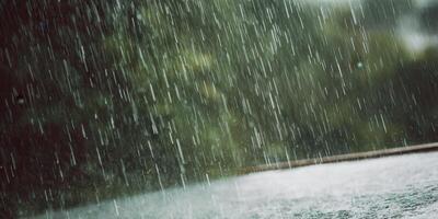 Dramatic close-up captures the intense downpour of rain creating a refreshing scene. photo