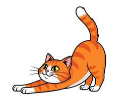 An orange cat is standing and stretching vector