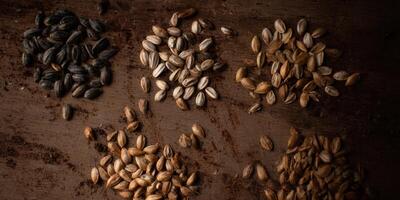 A stunning macro shot showcases a variety of grains, perfect for culinary and natural themes. photo
