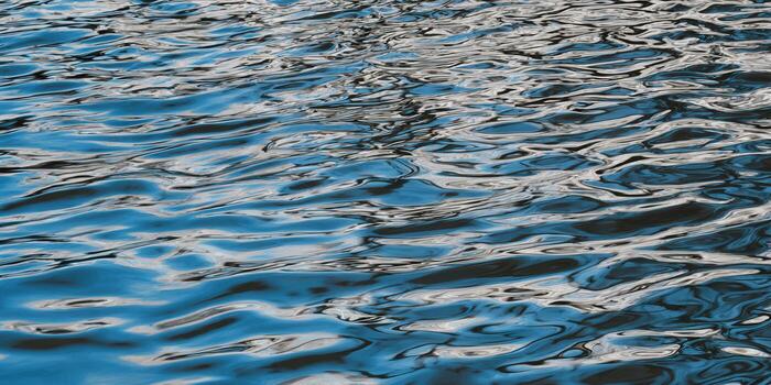 The play of light and shadow dances across the tranquil water surface, creating a mesmerizing pattern. photo