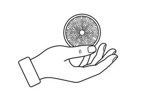 A hand holding a lemon in a line drawing vector