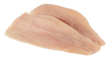 Freshly sliced fish without skin cut out isolated transparent background png