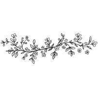 Hand Drawn Floral Vine Divider Black Line Art Illustration vector