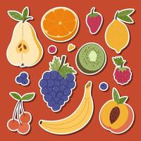colorful fruit illustrations vector