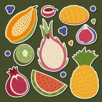 colorful fruit sticker illustrations vector