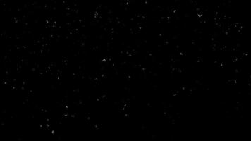 Loop white dust star particles falling on black abstract background video