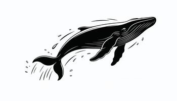 Black and white whale illustration, isolated on white background, symbolizing marine life, ocean wildlife, nature, sea animal, aquatic, and environmental conservation concept. vector