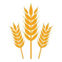 Golden wheat ears illustration isolated on white background, symbolizing agriculture, harvest, farming, organic food, and rural nature for eco-friendly design projects. vector