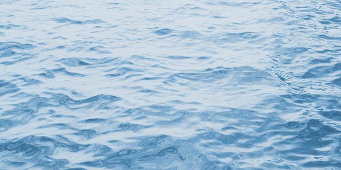 The tranquil ocean surface presents a serene, blue background of gentle waves and subtle textures. photo