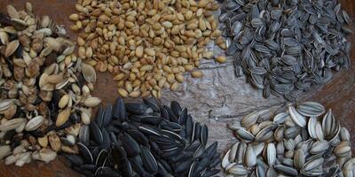 A captivating image of assorted seeds, showcasing their textures and natural beauty. photo