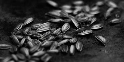 Close-up of sunflower seeds, captured in black and white, revealing texture and details. photo