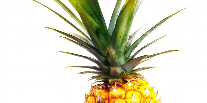 A vibrant, close-up of a fresh pineapple, isolated on a bright white background. photo
