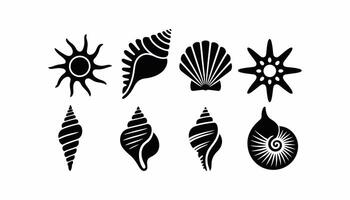 Set of Black Sea Shell and Starfish Silhouette Icons, Illustration for Beach, Ocean, Marine, Nautical, Summer, and Coastal Design Concepts vector