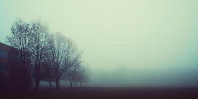 Trees stand in the fog, creating a serene, atmospheric landscape during a misty morning. photo