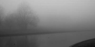 Ethereal black and white landscape of a foggy lake with trees in the distance, creating a serene atmosphere. photo