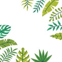 Square card or poster with tropical leaf and branch border in corners in flat cartoon style. vector