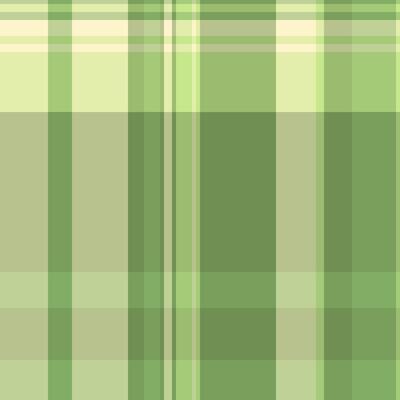 Track background check plaid, arabic tartan seamless . Wear textile fabric texture pattern in green and light colors.