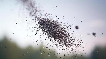 Black particles scattering against a blurred background. photo