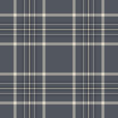 Classic grey plaid pattern for textile, wrapping, or backgrounds. Simple, understated elegance. Use for fashion, design, and creative projects. Versatile backdrop.