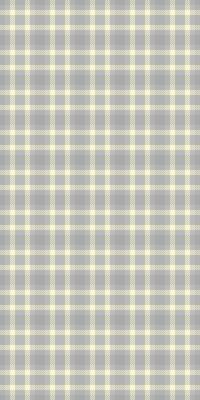 Festival check seamless, network plaid pattern texture. Mexico textile fabric tartan background in silver and light goldenrod yellow colors.