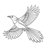 Line Art of Flying Oriental Magpie-Robin vector