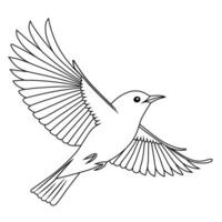 Line Art of Flying Oriental White-Eye vector