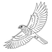 Line Art of Flying Island Thrush vector