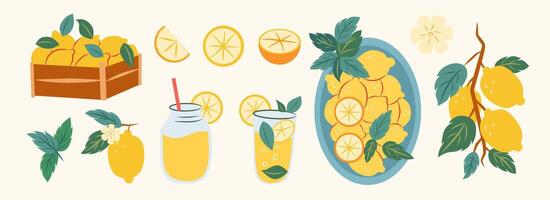 Lemons and lemonade illustrations in various forms vector