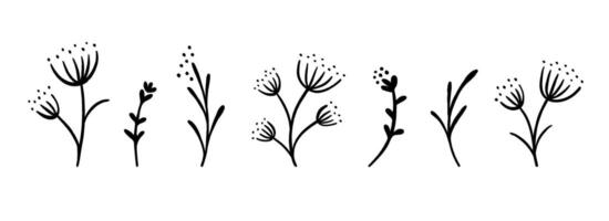 Black floral sketches set. Hand drawn botanical elements collection. Doodle flowers, leaves and branches bundle for decoration. Simple plants and herbs illustration pack vector
