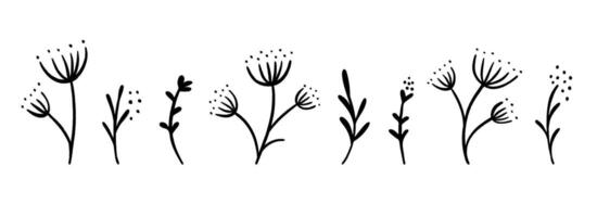 Black floral sketches set. Hand drawn botanical elements collection. Doodle flowers, leaves and branches bundle for decoration, graphic design. Simple plants and herbs illustration pack vector