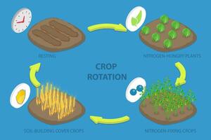3D Isometric Flat Illustration of Crop Rotation, Growing a Series of Different Types of Plants in the Same Area vector