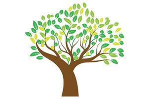 Beautiful large tree with colorful leaves vector