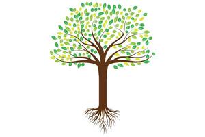 Green eco tree logo vector