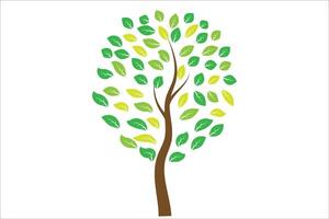 Simple tree with colorful leaves vector
