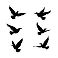 Six black silhouettes of birds in flight against a clean white background vector