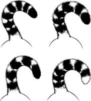 Four distinct illustrations of a ringed animal tail showing different curls and poses vector