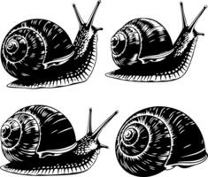 Detailed black and white illustrations of four snails in motion vector