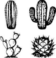 Four distinct hand drawn botanical illustrations of desert succulents and cacti vector
