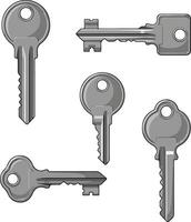 Collection of five realistic gray metal keys on a white background vector