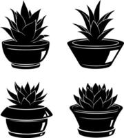 Potted succulent plants on white background vector
