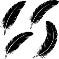 Four elegant black feathers isolated on a white background vector